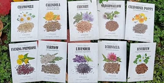 Medicinal Garden Kit w/ Herbal Medicine Guide