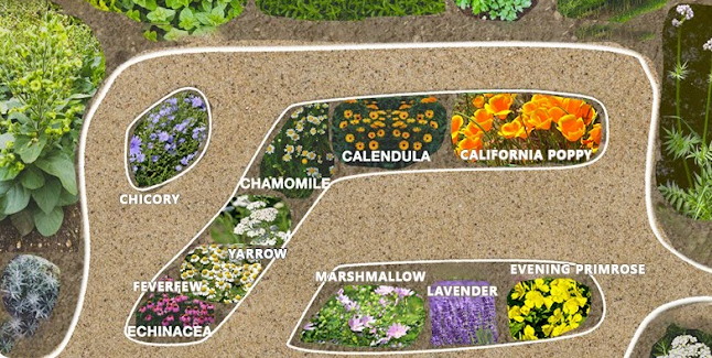 Medicinal Garden Kit w/ Herbal Medicine Guide